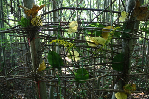 Geflochtenes Kunstwerk von Kindern aus Zweigen und Blättern zwischen Stämmen
